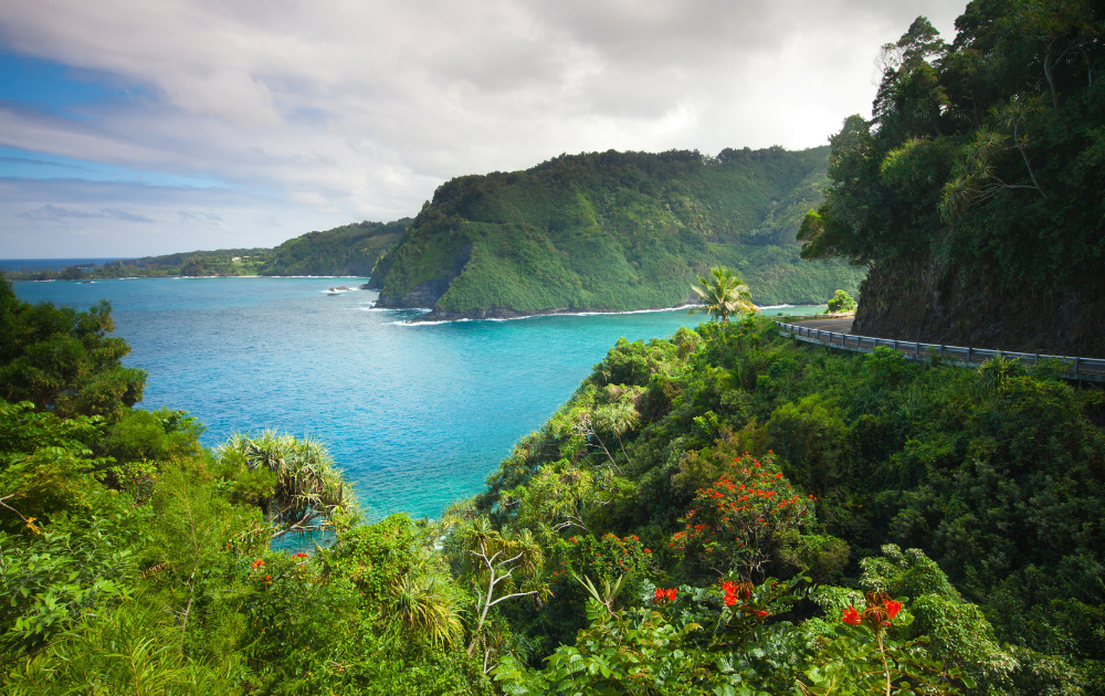 Top 10 Must-Do Activities in Maui for First-Time Visitors