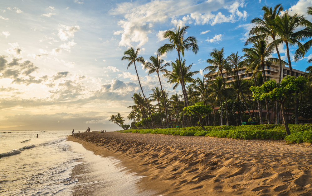 Top 10 Must-Do Activities in Maui for First-Time Visitors