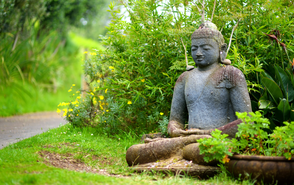 Top 10 Must-Do Activities in Maui for First-Time Visitors
